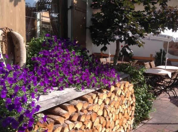 Hotel Restaurant Fruehlingsgarten Фюссен Экстерьер фото